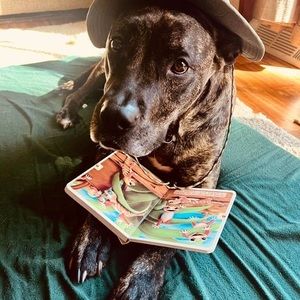 Meet your Posher, Kathy